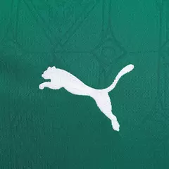 Camisa Palmeiras I 25/26 - Torcedor Masculina - Verde - Esporte Chique - A sua loja de Importações de Artigos esportivos