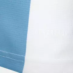 Imagem do Camisa Seleção Argentina Edição Comemorativa 25/26 - Torcedor Masculina - Branca com listras em azul