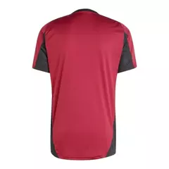 Camisa Newcastle Treino 24/25 - Torcedor Masculina - Vermelha com detalhes em preto e branco - comprar online