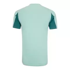 Camisa Cruzeiro Treino 25/26 - Torcedor Masculina - Verde - comprar online