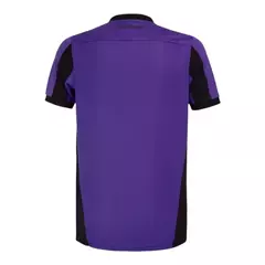 Camisa Botafogo Goleiro 24/25 - Torcedor Masculina - Roxo com detalhes em preto na internet