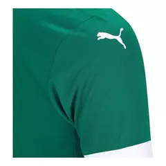 Imagem do Camisa Palmeiras I 25/26 - Torcedor Masculina - Verde