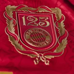 Camisa Bayern de Munique Edição especial Aniversário 125 anos 25/26 - Torcedor Masculina - Vinho com detalhes em dourado na internet