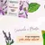 Imagem do kit c/6 un Sabonete em Barra Lavanda e Menta 180gr - Farnese (90760)