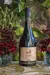 Vinho Gran Reserva Carignan 750 ML - Toro de Piedra (88311) - loja online