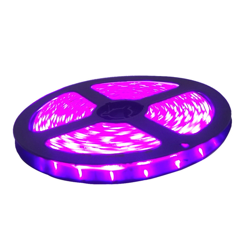 Rolo Com 5m De Fita De Led SMD 3528 A Prova D'agua Rosa IP65