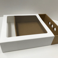 BANDEJA FOSFORERA CON VISOR - 25X25X7 - tienda online