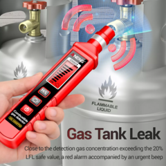 DETECTOR DE GASES ANENG GN801 CON ALARMA SONORA - comprar online