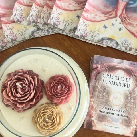 Carrusel Antonela Cappello