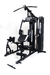 Estação de Musculação com Leg Press FT 13000 - loja online