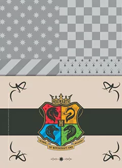 Caderno Universitário Harry Potter - 10 matérias - loja online