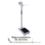 Balança Antropométrica Digital + Régua Pediátrica de Alumínio - comprar online