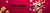 Imagem do banner rotativo Bia Laces