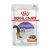 Aconchego_Royal_Canin_Sachê_Feline_Sterilised_Gatos_Castrados_85g_250622