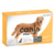 Canis Fullspot 26 a 40kg 4,0ml Labyes 1 Pipeta