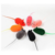 Ratinho Rato Real Colors cores