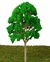 Arvores Parque / Rua H= 15cm Maquete 1:43 1/64 1:87 Ax - comprar online