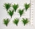 10 mini Plantas para Jardim - City3d