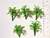 10 mini Plantas para Jardim - loja online