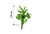 10 mini Plantas para Jardim - City3d