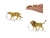 Mini Animais 1:87 Safari Zoológico pequenos, maquetes, dioramas e terrário - comprar online