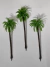 Imagem do 4 Palmeiras H=18,0cm Escala de 1:25 a 1:100 Maquete Arquitetura