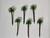 10 Palmeiras H=6,5cm Escala de 1:64 a 1:200 Maquete Arquitetura - comprar online
