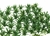 15 Plantas altura 2,0 cm Arbusto Jardim Maquete Arquitetura na internet