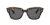 Ray Ban 2186 State Street | Animal Print - Gris - 52