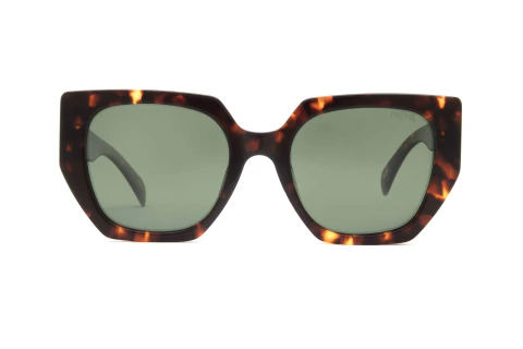 Prune - Eliette - Animal Print - Verde Polarizado - 54 - - comprar online