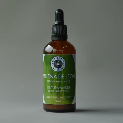 Tintura Madre Melena de León - Sintropia