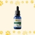 Floral Pet Indisciplina 30ml - comprar online