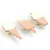 SET DE PERCHEROS HELADOS - comprar online
