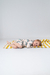 MINIBODY CON CIERRE DINOS - comprar online