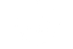 Marca 2 de OZONE LIFESTYLE