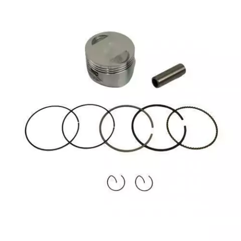 Pistão Kit com Anéis 1,00 Amazonas AME 150