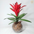 Arranjo tropical bromelia (planta artificial) + Vaso de vidro oval ondulado