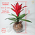 Arranjo tropical bromelia (planta artificial) + Vaso de vidro oval ondulado - Estufa Urbana