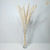 Arranjo Capim Pampas Premium 10 hastes (planta preservada) + Vaso vidro grosso