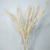 Arranjo Capim Pampas Premium 10 hastes (planta preservada) + Vaso vidro grosso - comprar online