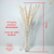 Arranjo Capim Pampas Premium 10 hastes (planta preservada) + Vaso vidro grosso - Estufa Urbana