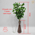Arranjo Eucalipto (planta artificial) + vaso vidro - loja online