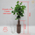 Arranjo Eucalipto (planta artificial) + vaso vidro