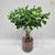 Arranjo Eucalipto (planta artificial) + vaso vidro - comprar online