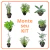 Monte seu KIT - Ervas Aromáticas - comprar online