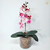 Arranjo Orquídea 1 haste (planta artificial) + Vaso vidro cilíndrico - loja online