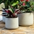 Vaso Lagoon (Polietileno) - comprar online