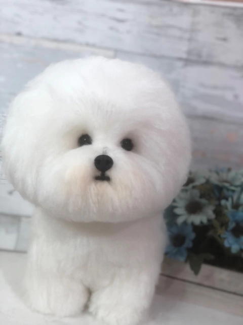 Bichon Frisé de amigurumi