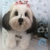 Lhasa Apso de amigurumi - loja online