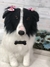 Imagem do Border Collie de amigurumi